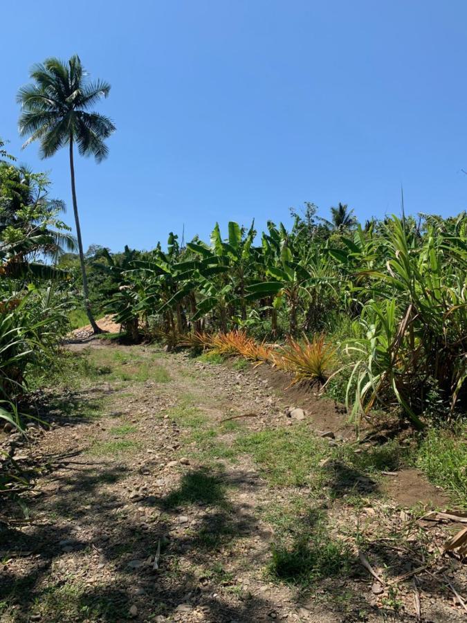 Green Queendom Farm And Lodging Oracabessa Esterno foto